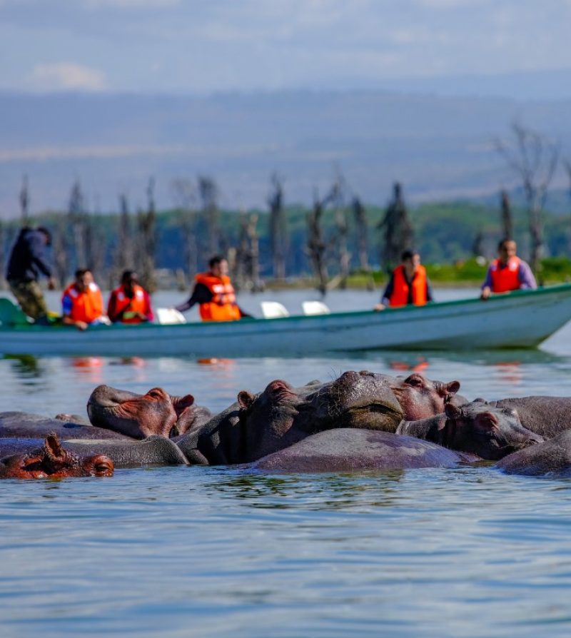 Naivasha boat rides
