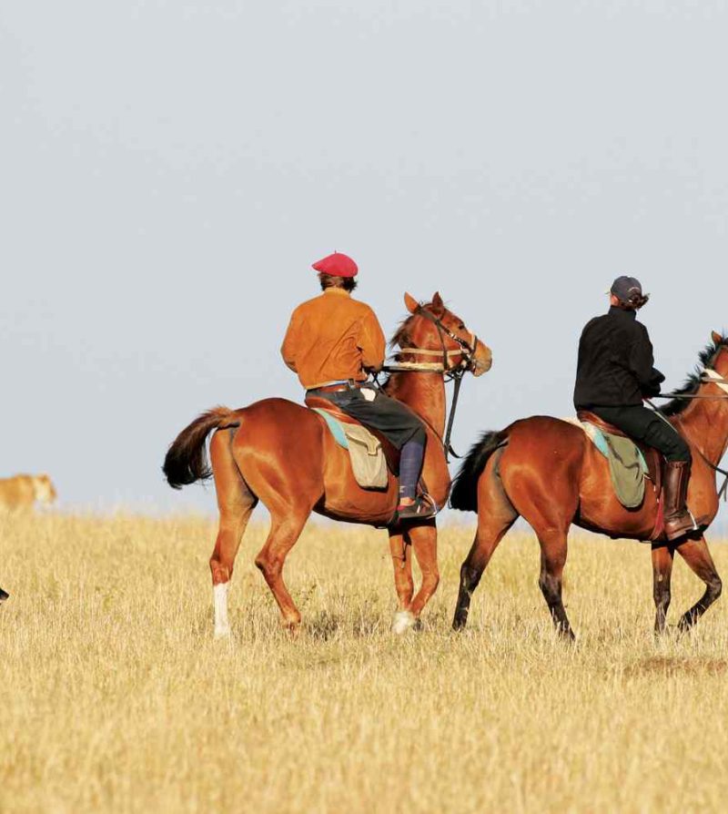 horse riding